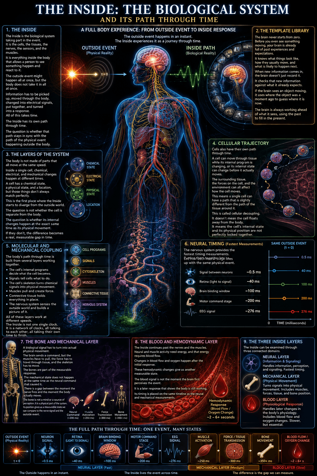 Full-body infographic of the Inside: the biological system and its path through time, from outside event to inside response across neural, mechanical, and blood layers.